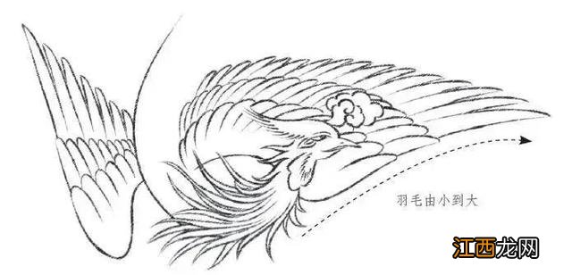 凤凰画图片大全 霸气 凤凰画图片大全