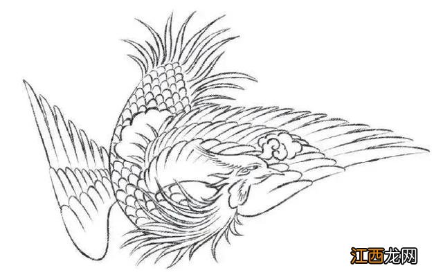 凤凰画图片大全 霸气 凤凰画图片大全