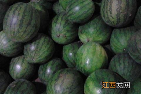 长西瓜和圆西瓜品种区别 长西瓜品种