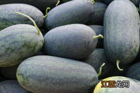 长西瓜和圆西瓜品种区别 长西瓜品种