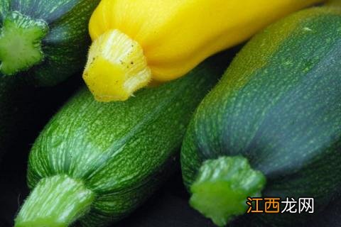 小瓜的栽培技术 小瓜的种植技术和管理