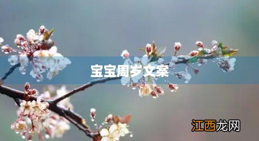 宝宝周岁文案图片九宫格 宝宝周岁文案