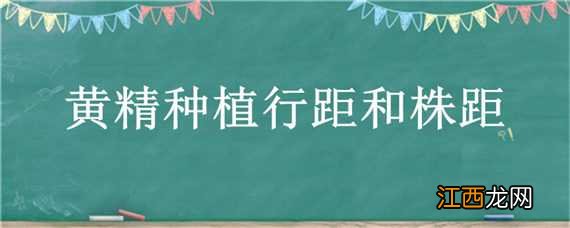 黄精苗种植株距行距和种的深度是多少 黄精种植行距和株距