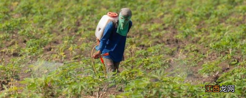 打完除草剂几天可以打营养药，打完除草剂的草多久可以喂牛