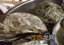 外观怎么区分生蚝和牡蛎 外观如何鉴别生蚝跟海蛎