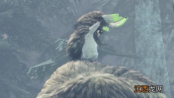 怪物猎人冰原 拍照任务 怪物猎人世界冰原拍照任务怎么做