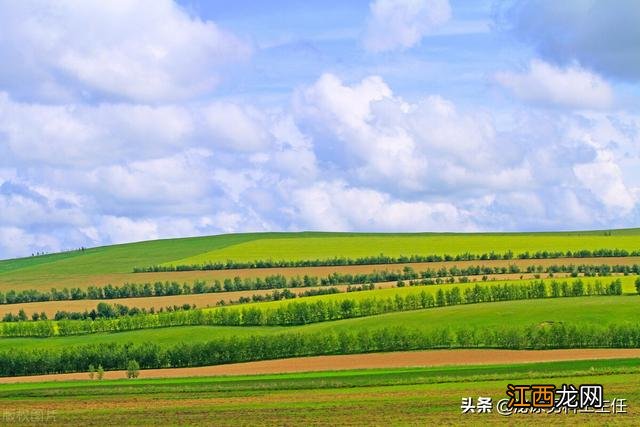 男性囊肿是什么原因引起的,该怎么治疗 男性囊肿是什么原因引起的