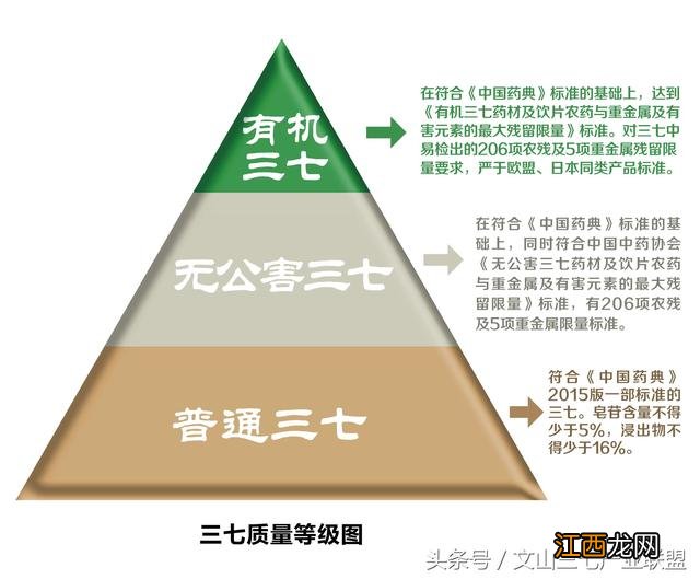 三七怎么鉴别好坏 三七怎么辨别好坏