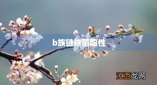 b族链球菌阳性是什么意思 b族链球菌阳性