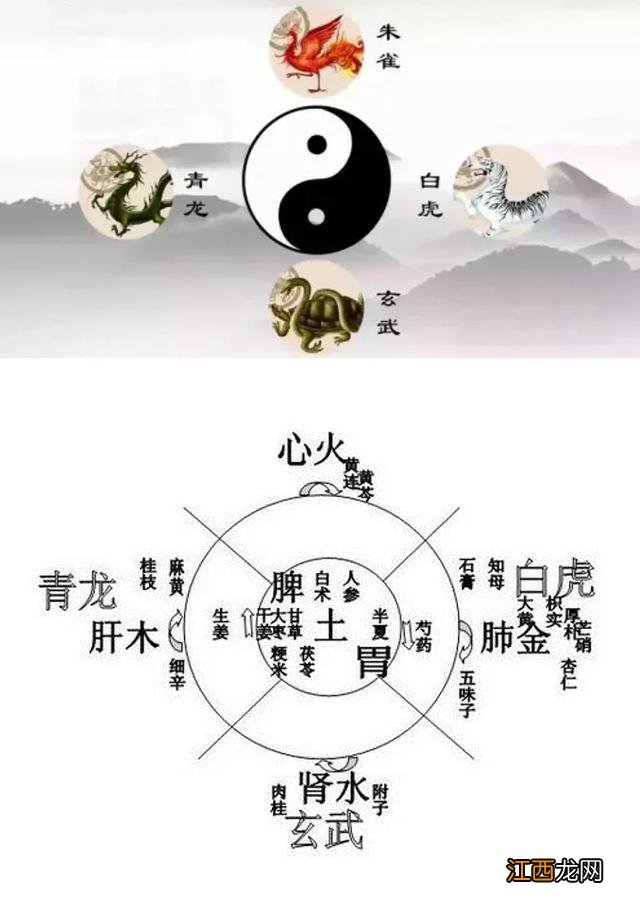 小青龙颗粒的功效与作用流清鼻涕头疼 小青龙颗粒的功效