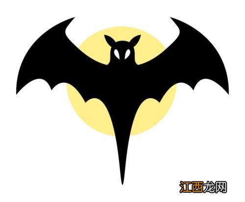 蝙蝠和老鼠的关系百度百科 蝙蝠和老鼠的关系