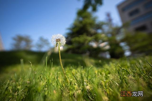 14mm等于多少厘米 14mm