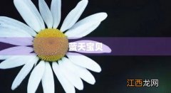 蓝天宝贝儿歌 蓝天宝贝