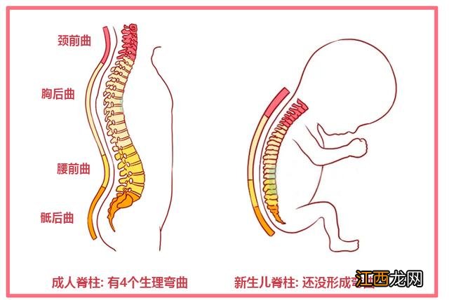 婴儿绑腿正确方法图片 婴儿绑腿