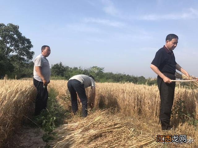 不治疗鸡眼会怎么样 鸡眼不治会怎么样