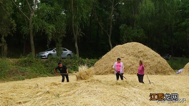 不治疗鸡眼会怎么样 鸡眼不治会怎么样