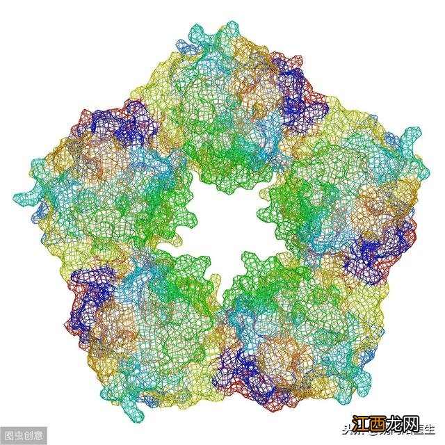 crp医学是什么意思 crp医学上是什么意思