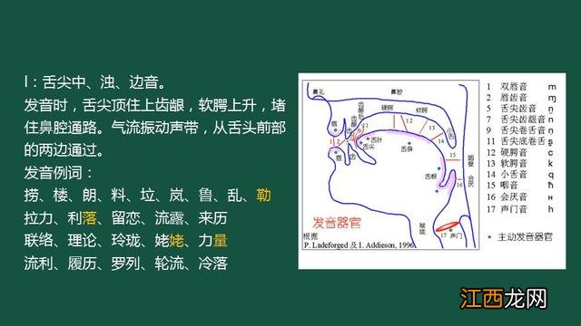 l怎么发音 英语单词 l怎么发音