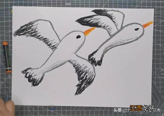 海鸥的简笔画怎么写 海鸥的简笔画