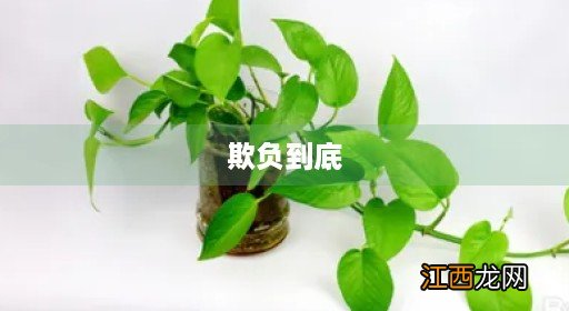 什么是欺负? 欺负到底