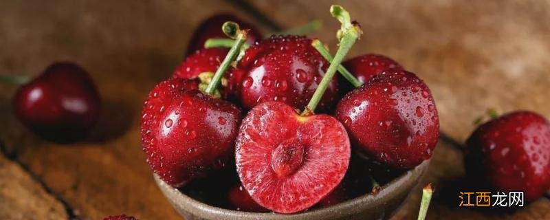 樱桃常见病虫害图片介绍 樱桃病虫害图片与防治方法