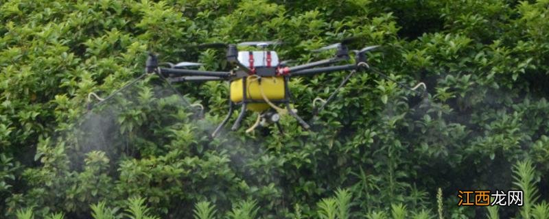 二甲戊灵除草剂怎么使用,附使用范围