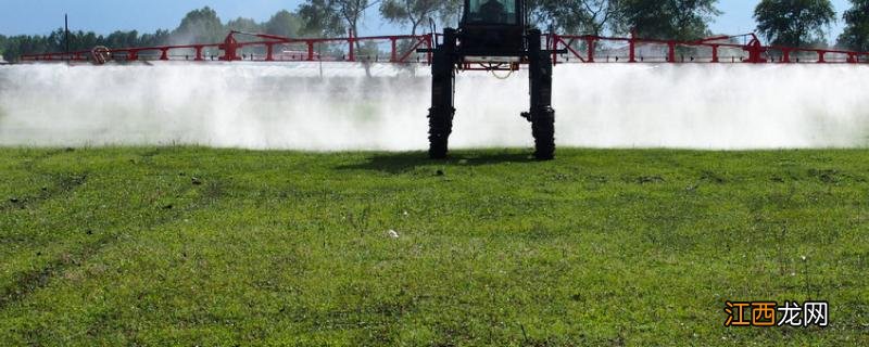 甘草磷除草剂残留多久,喷施多久见效