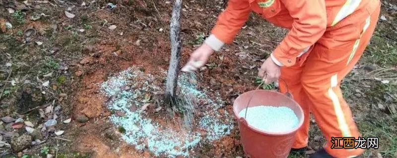 二铵肥对人体有害吗 二铵肥料含量，对果树有什么作用