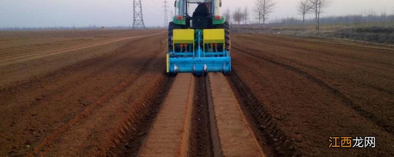 黄瓜种植起垄规格尺寸,起垄有哪些要点