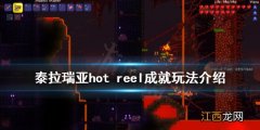 泰拉瑞亚hot 泰拉瑞亚hot reels