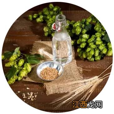 儿童积食吃什么好