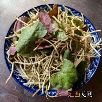 凉拌折耳根要焯水吗 凉拌折耳根