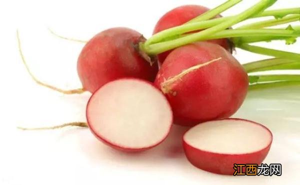 大红萝卜治痛风,一天一次,简单方便! 大红萝卜治痛风