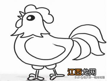 老公鸡怎么画简笔画 鸡怎么画简笔画