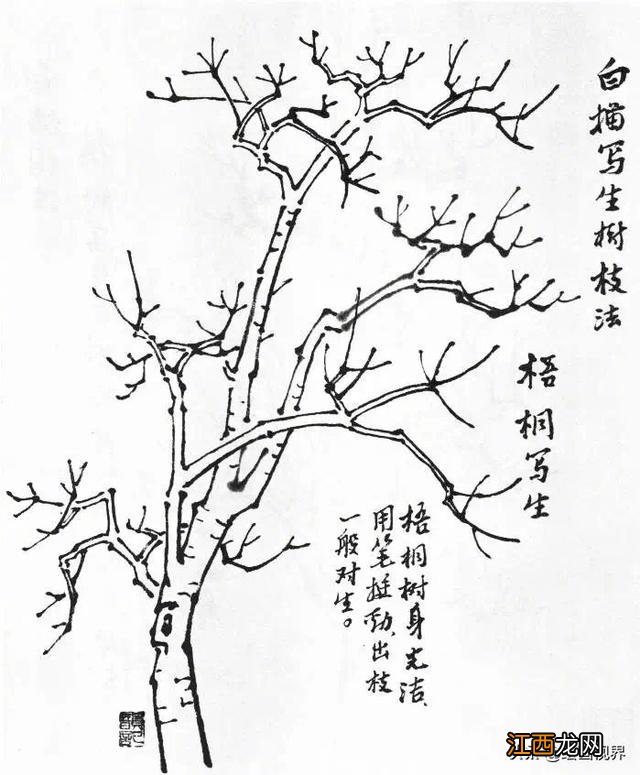 大树简笔画 树枝简笔画