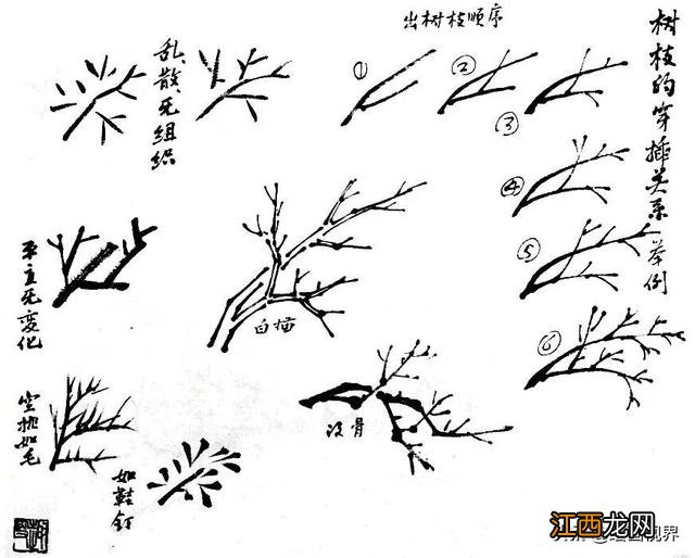 大树简笔画 树枝简笔画