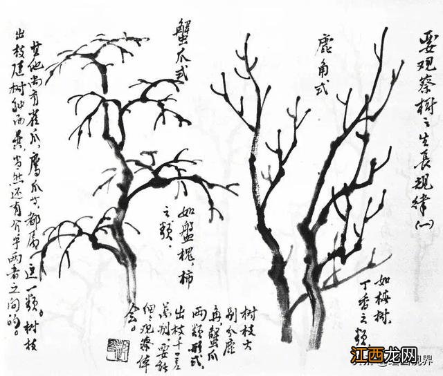 大树简笔画 树枝简笔画