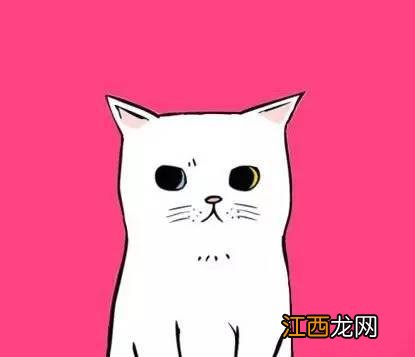 小猫简笔画图片大全 彩色 可爱 卡通版 小猫简笔画图片大全