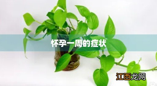 怀孕一周症状信号 怀孕一周的症状