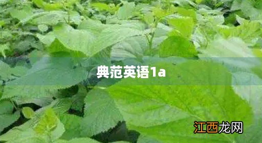 典范英语1a翻译原文 典范英语1a