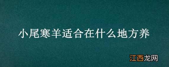 小尾寒羊在北方养殖怎么样 小尾寒羊适合在什么地方养