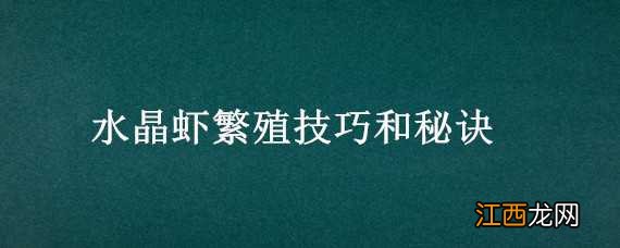 练手水晶虾能繁殖出好虾吗 水晶虾繁殖技巧和秘诀