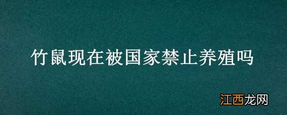 竹鼠现在被国家禁止养殖吗 竹鼠现在被国家禁止养殖吗