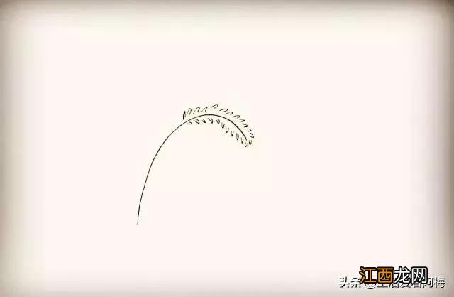 小草怎么画漂亮又简单 图片 小草怎么画