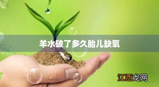 羊水破了多久胎儿缺氧会死 羊水破了多久胎儿缺氧