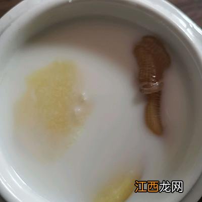 鱼胶炖牛奶 早上喝好还是晚上 鱼胶炖牛奶