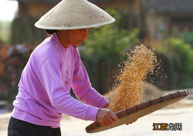 斗是簸箕吗 斗和簸箕的区别图片