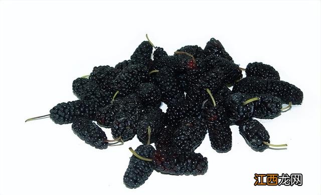 桑葚有什么功效与作用 食用方法 桑葚有什么功效