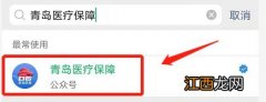 青岛医保缴费明细查询 在哪查看青岛医保缴费记录？