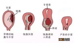 顺产后恶露多久干净才算正常 顺产后恶露多久干净